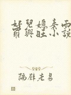 好儿媳秦雨罗明罗兴旺小说