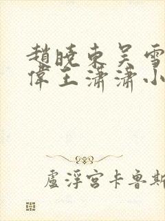 赵晓东吴雪晴郑伟王潇潇小说名字