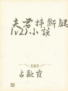 夫君摔断腿后(1v2)小说