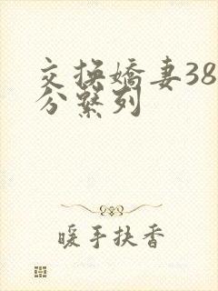 交换娇妻38部分系列