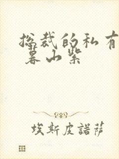 总裁的私有宝贝 暮山紫