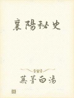 襄阳秘史