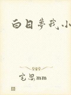 白日梦我小说