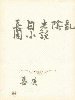 长日光阴乱作一团小说