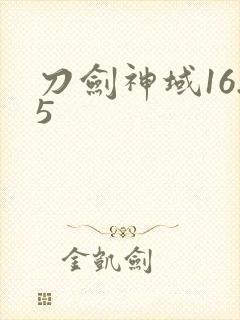 刀剑神域16.5