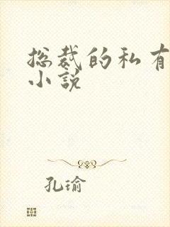 总裁的私有宝贝小说