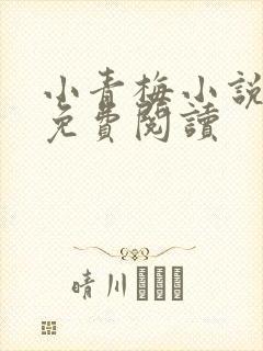 小青梅小说全文免费阅读