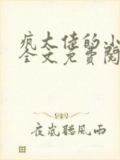 疯大佬的小玩物全文免费阅读小说