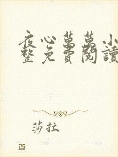 夜心万万小说完整免费阅读全文