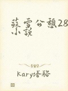 苏雪公憩28篇小说
