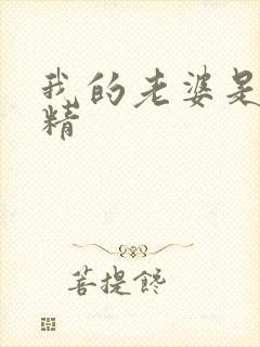 我的老婆是狐狸精