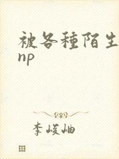 被各种陌生人 np