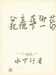 公主在御花园吃龙棍下一句