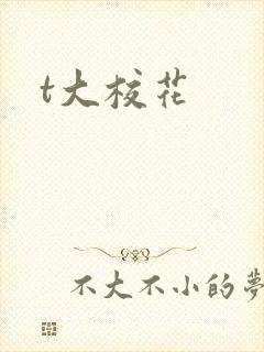 t大校花