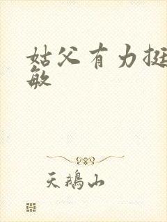 姑父有力挺送赵敏