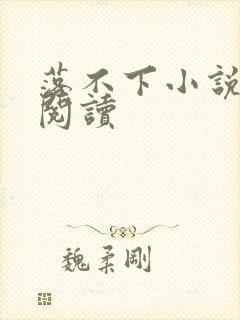 落不下小说免费阅读