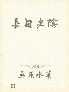 长日光阴