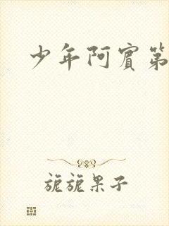 少年阿宾第二部