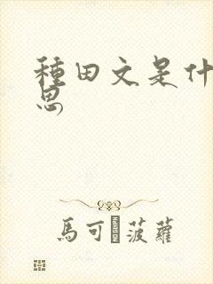 种田文是什么意思