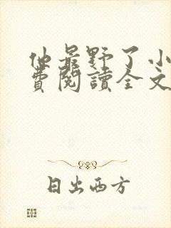 他最野了小说免费阅读全文