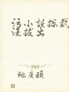 污小说总裁整夜没拔出