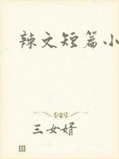辣文短篇小说