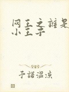 网王之谁是我的小王子