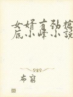 女婿有劲枪枪到底小峰小说