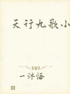 天行九歌小说