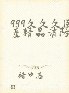 999久久久国产精品消防器材