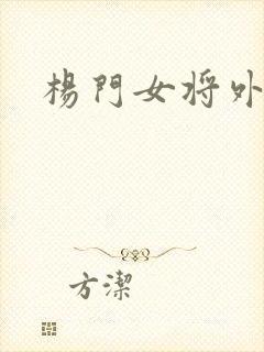 杨门女将外传