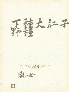 下种大肚子怀孕野种