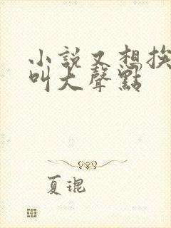 小说又想挨C了叫大声点