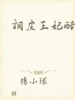 调皮王妃酷王爷