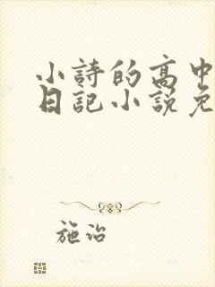 小诗的高中成长日记小说免费阅读
