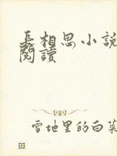 长相思小说免费阅读