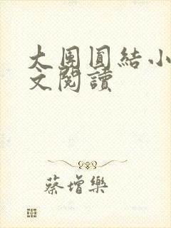 大团圆结小茹全文阅读