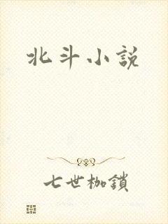 北斗小说