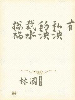 总裁的私有宝贝祸水泱泱