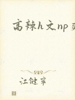 高辣h文np爽