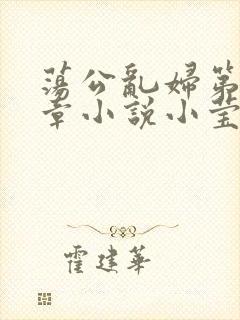 荡公乱妇第51章小说小莹