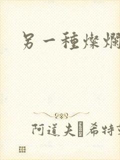 另一种灿烂生活