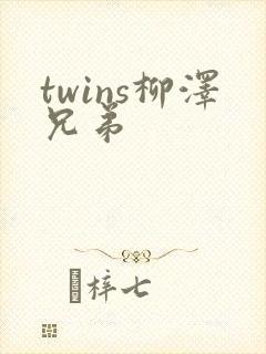 twins柳泽兄弟