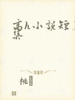 高h小说短篇合集