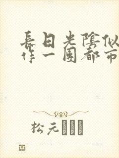 长日光阴似箭乱作一团都市言情