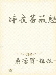 暗夜蔷薇魅