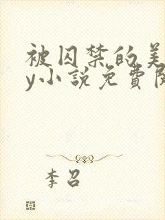 被囚禁的美人by小说免费阅读