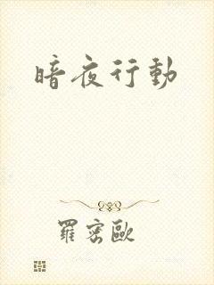 暗夜行动