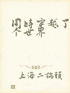 同时穿越了99个世界