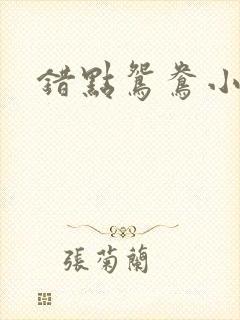 错点鸳鸯小说